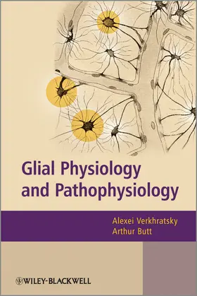 Verkhratsky / Butt |  Glial Physiology and Pathophysiology | Buch |  Sack Fachmedien