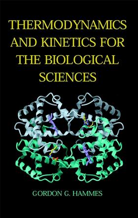 Hammes |  Thermodynamics and Kinetics for the Biological Sciences | Buch |  Sack Fachmedien