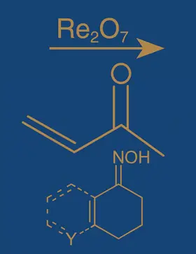 Wang |  Comprehensive Organic Name Reactions and Reagents, 3 Volume Set | Buch |  Sack Fachmedien