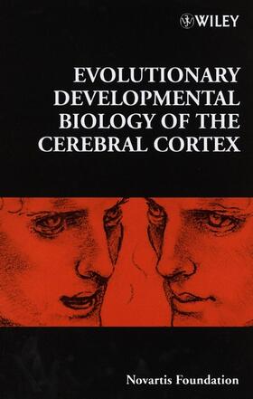 Bock / Novartis Foundation / Cardew | Evolutionary Developmental Biology of the Cerebral Cortex | Buch | 978-0-471-97978-4 | sack.de