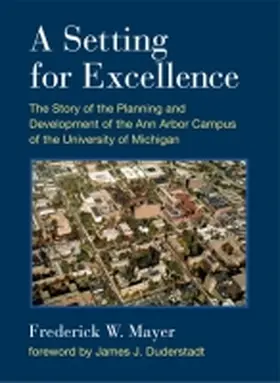 Mayer |  A Setting for Excellence | Buch |  Sack Fachmedien