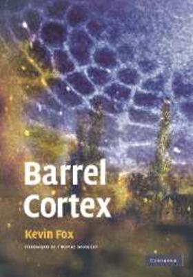 Fox |  Barrel Cortex | eBook | Sack Fachmedien