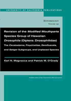 Magnacca / O'Grady |  Revision of the Modified Mouthparts Species Group of Hawaii | Buch |  Sack Fachmedien