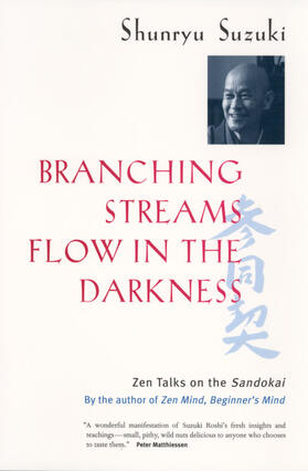Suzuki / Weitsman / Wenger |  Branching Streams Flow in the Darkness | Buch |  Sack Fachmedien