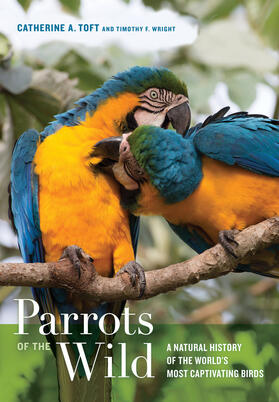 Toft / Wright |  Parrots of the Wild | Buch |  Sack Fachmedien