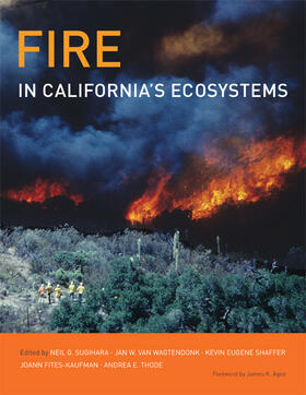 Sugihara / van Wagtendonk / Shaffer |  Fire in California&#8242;s Ecosystems | Buch |  Sack Fachmedien