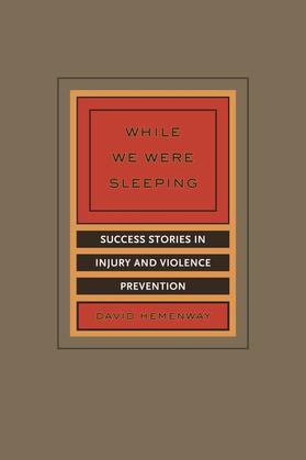 Hemenway |  While We Were Sleeping - Success Stories in Injury and Violence Prevention | Buch |  Sack Fachmedien