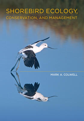 Colwell |  Shorebird Ecology, Conservation, and Management | Buch |  Sack Fachmedien