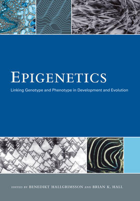 Hallgrimsson / Hall |  Epigenetics - Linking Genotype and Phenotype in Development and Evolution | Buch |  Sack Fachmedien