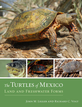 Legler / Vogt |  Turtles of Mexico | Buch |  Sack Fachmedien
