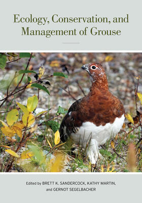 Sandercock / Martin / Segelbacher |  Ecology, Conservation, and Management of Grouse | Buch |  Sack Fachmedien