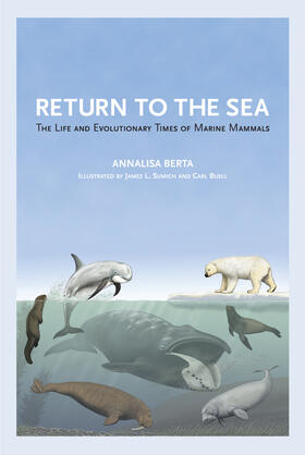 Berta |  Return to the Sea: The Life and Evolutionary Times of Marine Mammals | Buch |  Sack Fachmedien