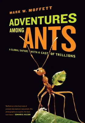 Moffett |  Adventures among Ants | Buch |  Sack Fachmedien