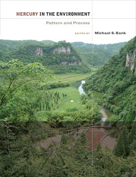 Bank |  Mercury in the Environment - Pattern and Process | Buch |  Sack Fachmedien