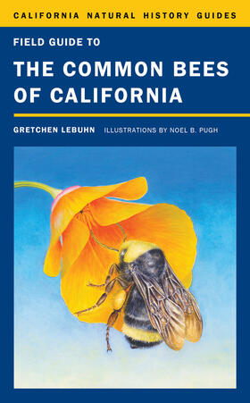 LeBuhn |  Field Guide to the Common Bees of California | Buch |  Sack Fachmedien