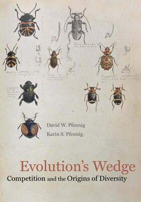 Pfennig |  Evolution's Wedge | Buch |  Sack Fachmedien