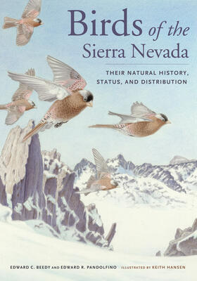 Beedy / Pandolfino |  Birds of the Sierra Nevada - Their Natural History , Status, and Distribution | Buch |  Sack Fachmedien