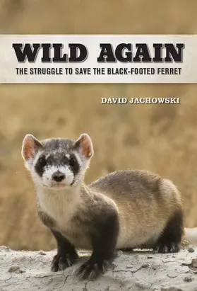 Jachowski |  Wild Again - The Struggle to Save the Black-Footed Ferret | Buch |  Sack Fachmedien