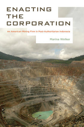 Welker |  Enacting the Corporation | Buch |  Sack Fachmedien