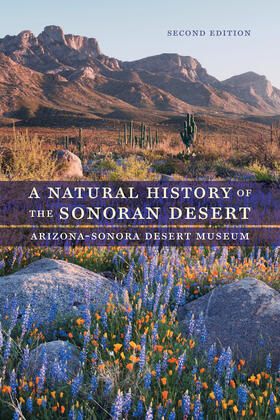 Phillips / Comus / Dimmitt |  A Natural History of the Sonoran Desert | Buch |  Sack Fachmedien