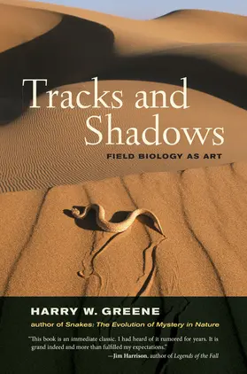 Greene |  Tracks and Shadows | Buch |  Sack Fachmedien