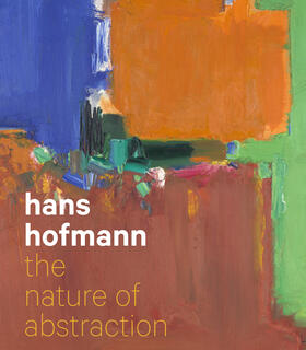 Barnes |  Hans Hofmann | Buch |  Sack Fachmedien