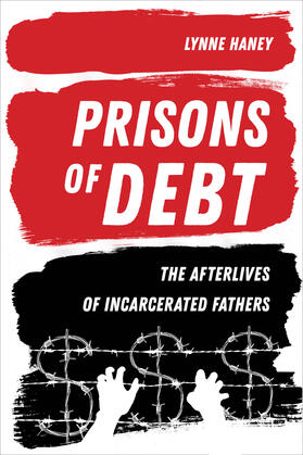 Haney |  Prisons of Debt | Buch |  Sack Fachmedien