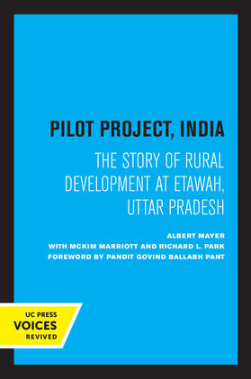 Mayer |  Pilot Project, India | eBook | Sack Fachmedien