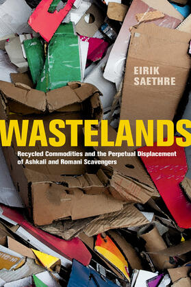 Saethre |  Wastelands | Buch |  Sack Fachmedien