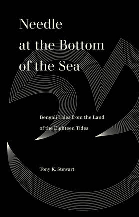 Stewart |  Needle at the Bottom of the Sea | Buch |  Sack Fachmedien