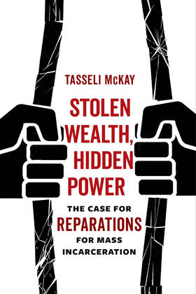 McKay |  Stolen Wealth, Hidden Power | Buch |  Sack Fachmedien