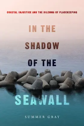 Gray |  In the Shadow of the Seawall | Buch |  Sack Fachmedien