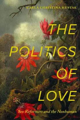 Hustak |  The Politics of Love | Buch |  Sack Fachmedien