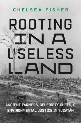 Fisher |  Rooting in a Useless Land | Buch |  Sack Fachmedien