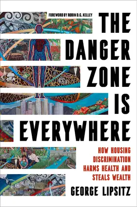 Lipsitz |  The Danger Zone Is Everywhere | Buch |  Sack Fachmedien