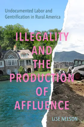 Nelson |  Illegality and the Production of Affluence | Buch |  Sack Fachmedien