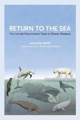 Berta |  Return to the Sea | eBook | Sack Fachmedien