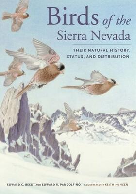 Beedy / Pandolfino |  Birds of the Sierra Nevada | eBook | Sack Fachmedien