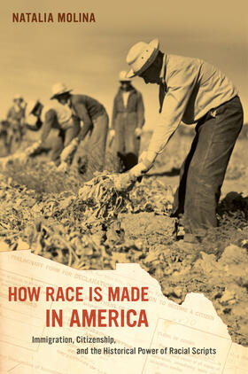 Molina |  How Race Is Made in America | eBook | Sack Fachmedien