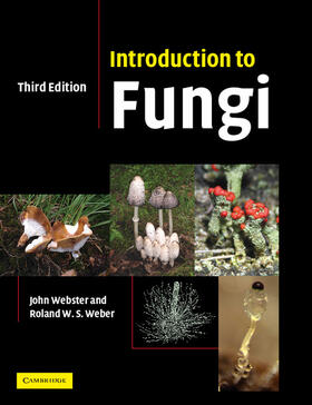 Webster / Weber |  Introduction to Fungi | Buch |  Sack Fachmedien