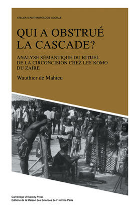 Mahieu |  Qui a Obstru La Cascade? | Buch |  Sack Fachmedien