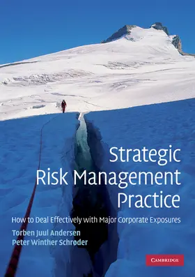 Andersen / Schrøder |  Strategic Risk Management Practice | Buch |  Sack Fachmedien