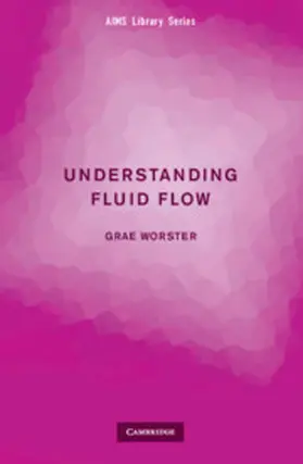 Worster |  Understanding Fluid Flow | Buch |  Sack Fachmedien