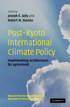 Aldy / Stavins |  Post-Kyoto International Climate Policy | Buch |  Sack Fachmedien