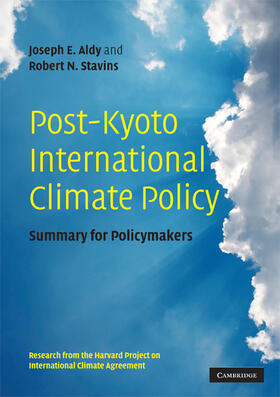 Aldy / Stavins |  Post-Kyoto International Climate Policy | Buch |  Sack Fachmedien
