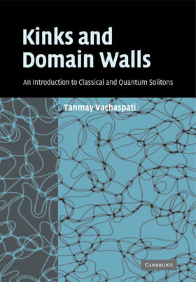 Vachaspati |  Kinks and Domain Walls | Buch |  Sack Fachmedien