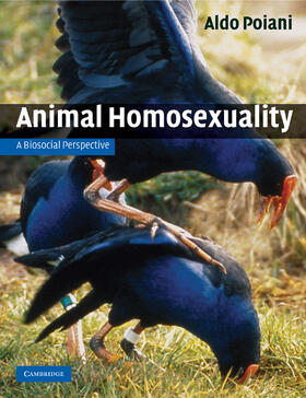 Poiani / Dixson |  Animal Homosexuality | Buch |  Sack Fachmedien