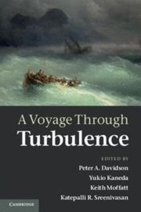 Davidson / Kaneda / Moffatt |  A Voyage Through Turbulence | Buch |  Sack Fachmedien