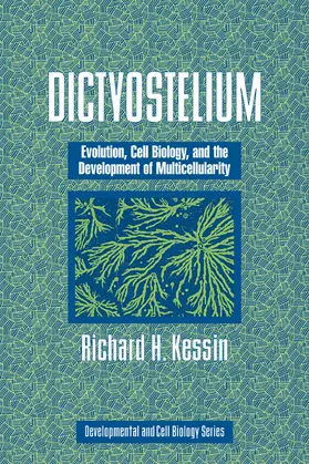 Kessin |  Dictyostelium | Buch |  Sack Fachmedien