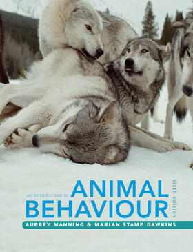 Manning / Stamp Dawkins |  An Introduction to Animal Behaviour | Buch |  Sack Fachmedien